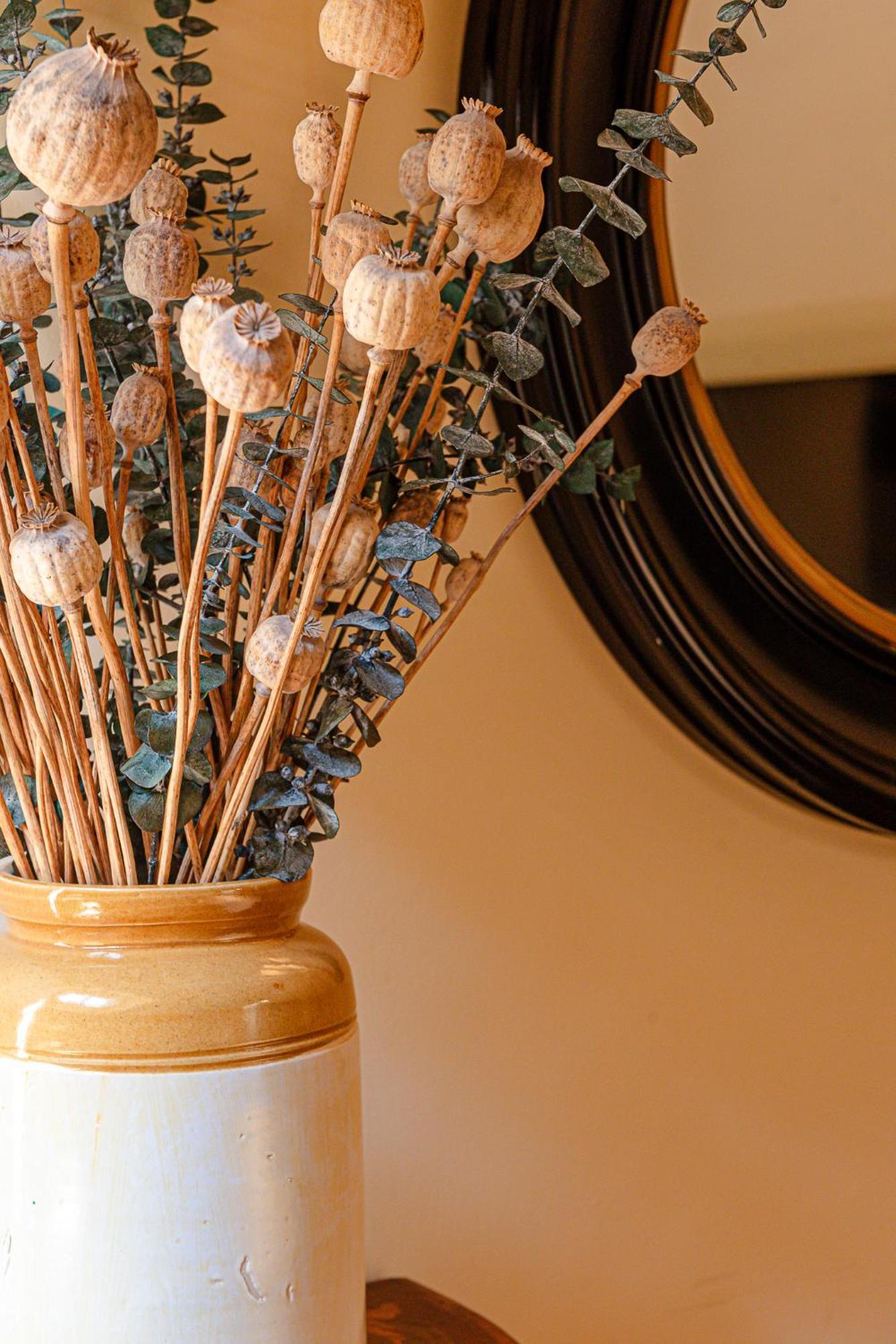 רומא Luxury Apartment Pantheon מראה חיצוני תמונה